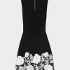 Sleeveless Lace Trim Fit And Flare Dress - Image 4